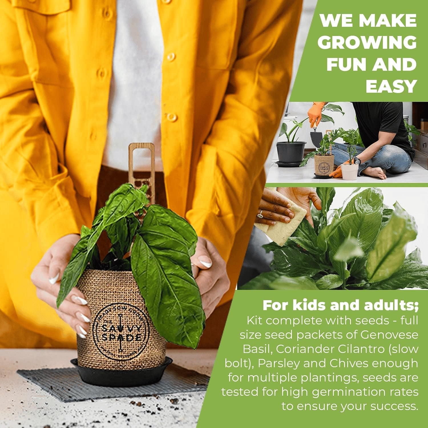 Rachymack Herb Garden Starter Kit Indoor Herb Garden Starter Kit - Non GMO, Heirloom Herb Seeds - Cilantro, Oregano, Parsley and Basil Seeds for Planting - Gardening Gifts - Made in USA (Herb Garden Starter Kit)
